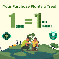 Dishwasher Liquid For Your Utensils, 300ml