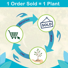 Floor Cleaner For Perfect Shine, 3 Ltr