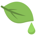 Botanical oil offering antibacterial, anti-inflammatory, soothing, clarifying properties.
